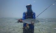 Double- lined Mackerel fly fishing Maldives